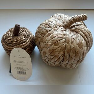 Threshold Natural Braided Rope Pumpkin Set